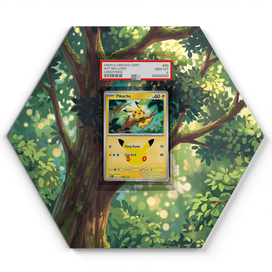 041/128 Pikachu - Extended Artwork Pokemon Card Display