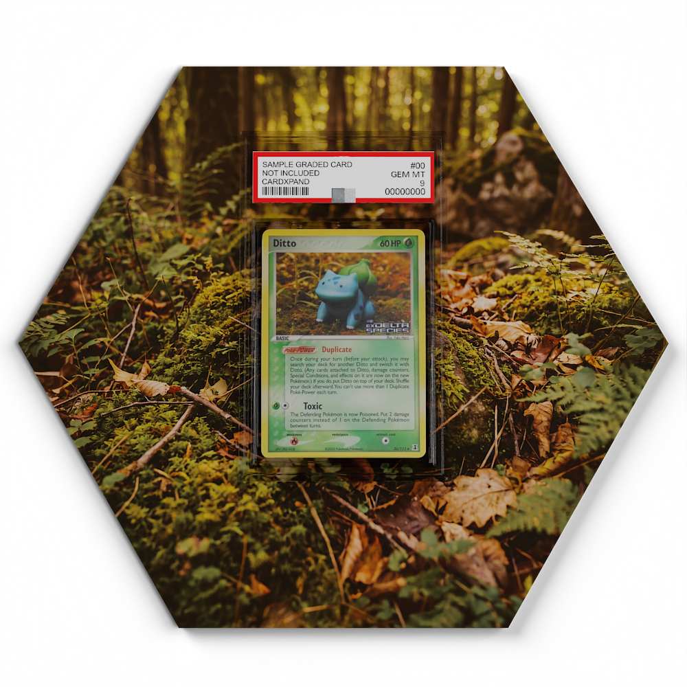36/113 Ditto (Bulbasaur) - Extended Artwork Pokemon Card Display