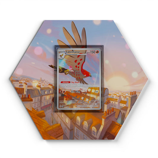 091/088 Talonflame - Extended Artwork Pokemon Card Display