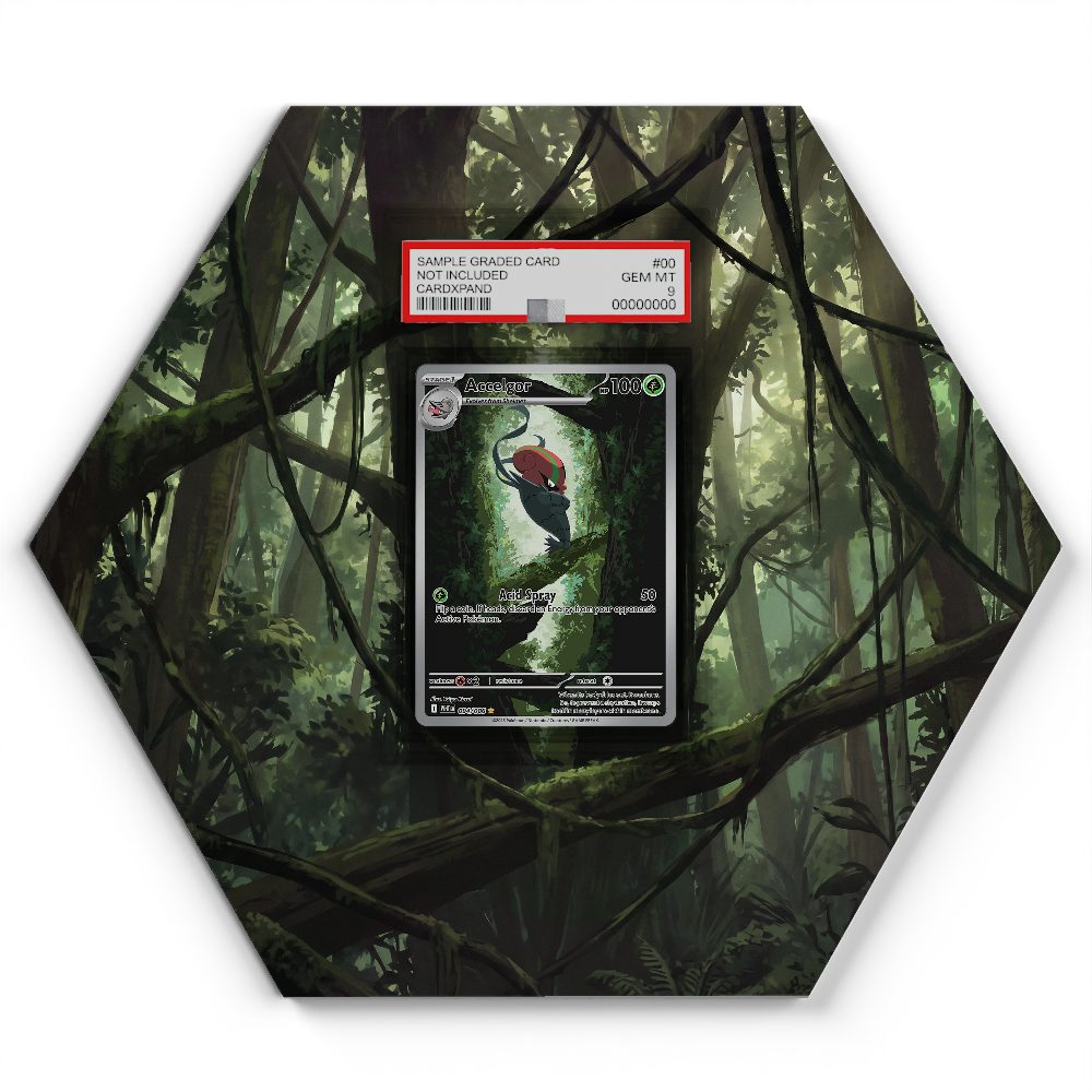 094/086 Accelgor - Extended Artwork Pokemon Card Display