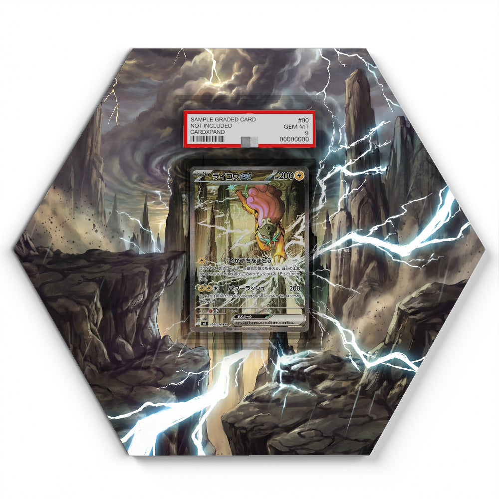 108/076 Raikou ex - Extended Artwork Pokemon Card Display