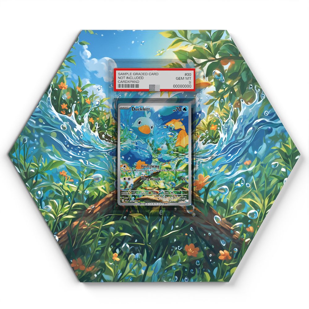 109/086 Ducklett - Extended Artwork Pokemon Card Display