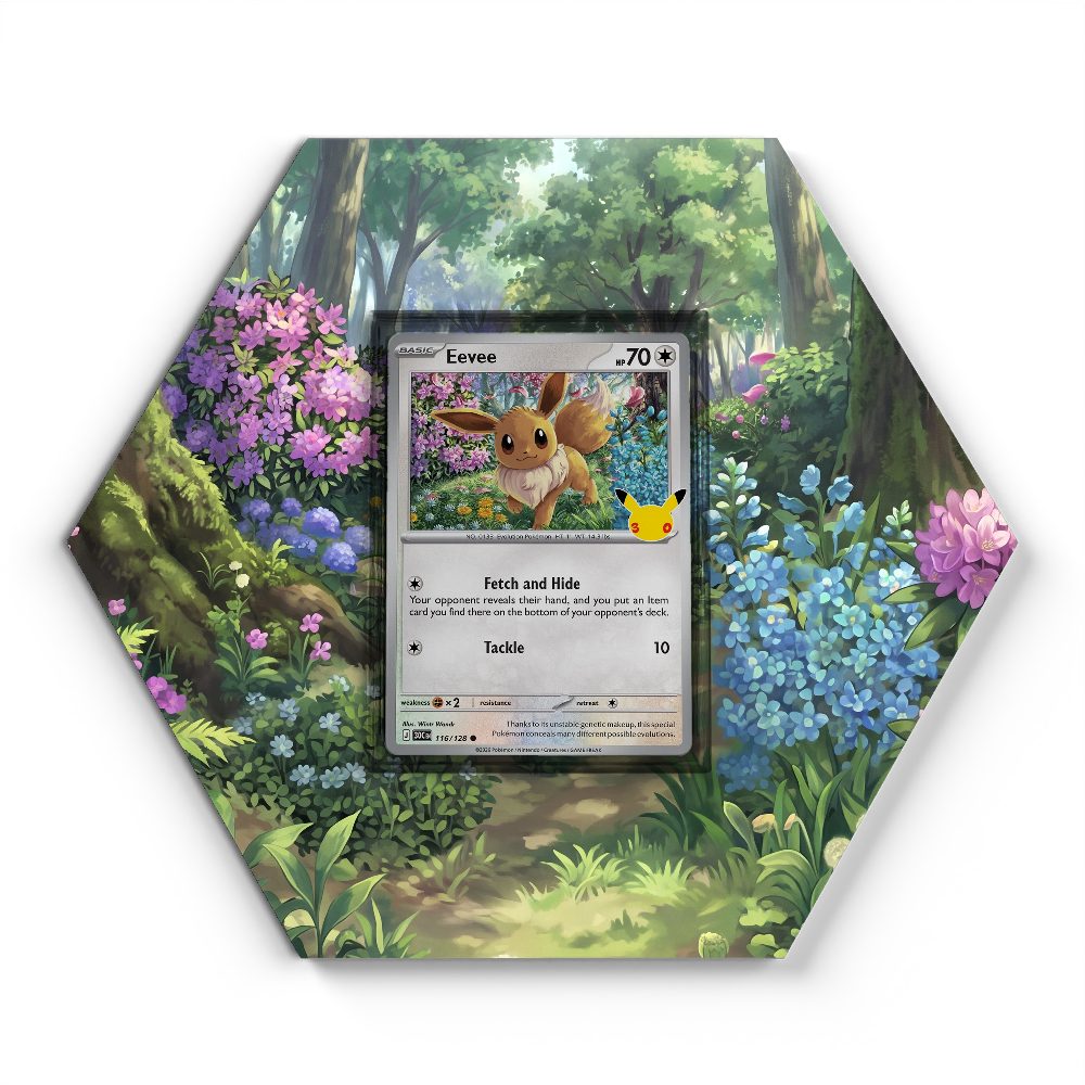 116/128 Eevee - Extended Artwork Pokemon Card Display