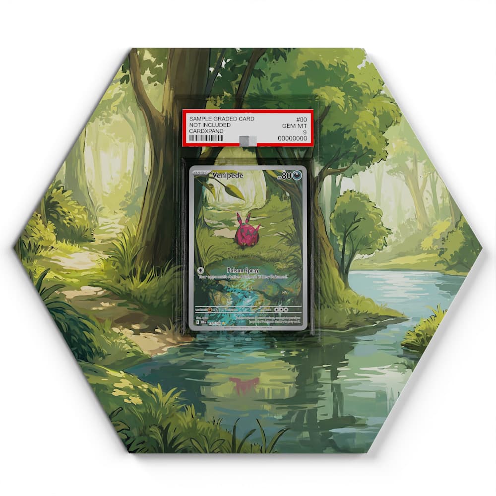 132/086 Venipede - Extended Artwork Pokemon Card Display