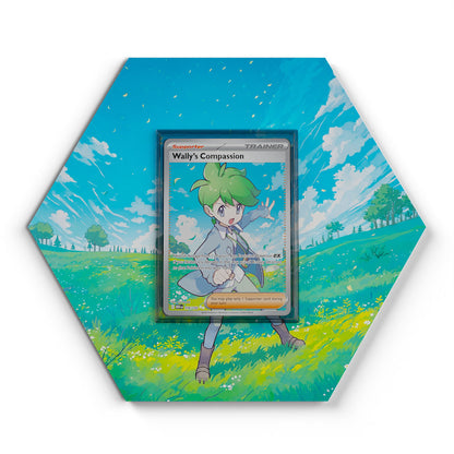 176/132 Wally's Compassion - Extended Artwork Pokemon Card Display