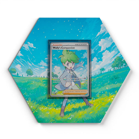 176/132 Wally's Compassion - Extended Artwork Pokemon Card Display