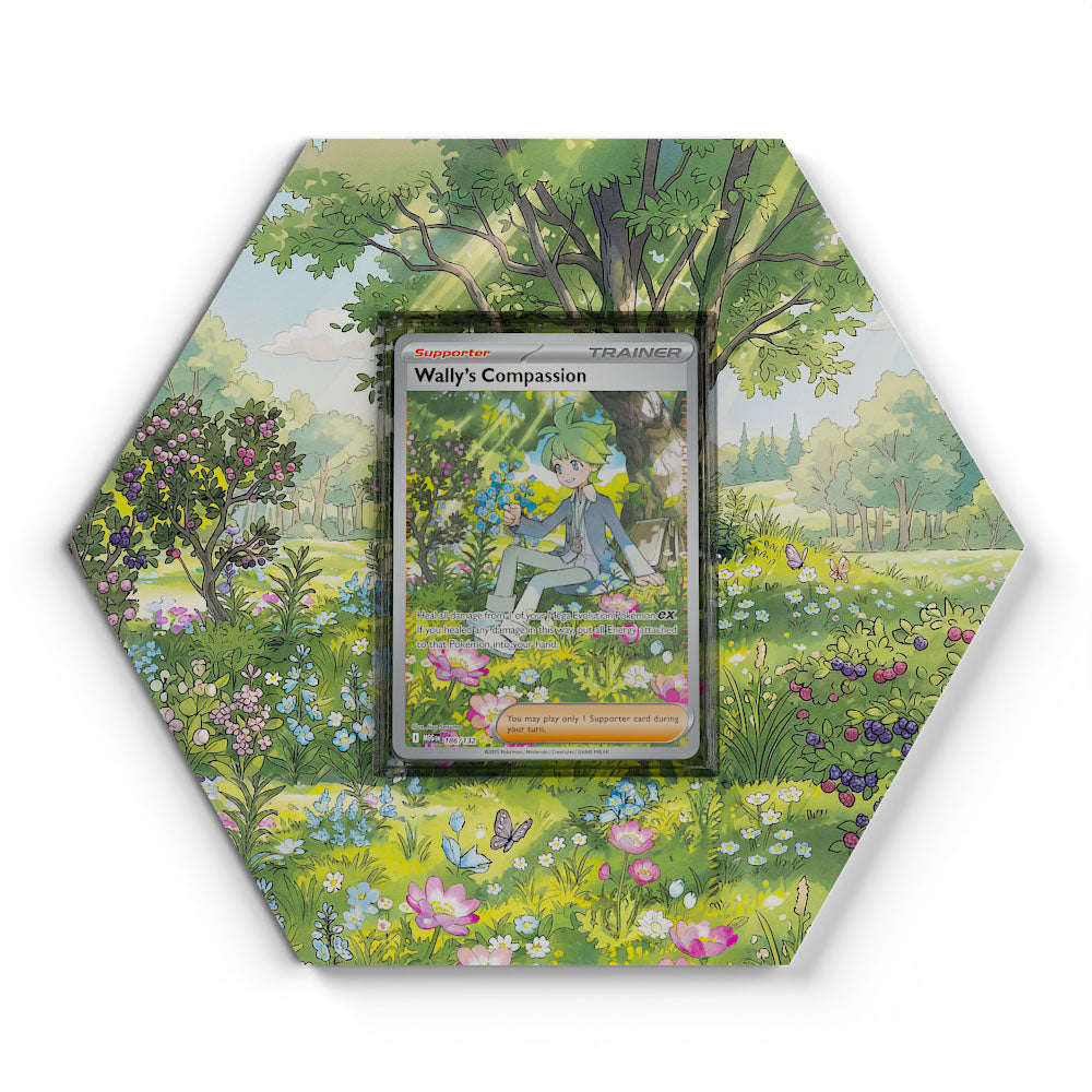 186/132 Wally's Compassion - Extended Artwork Pokemon Card Display