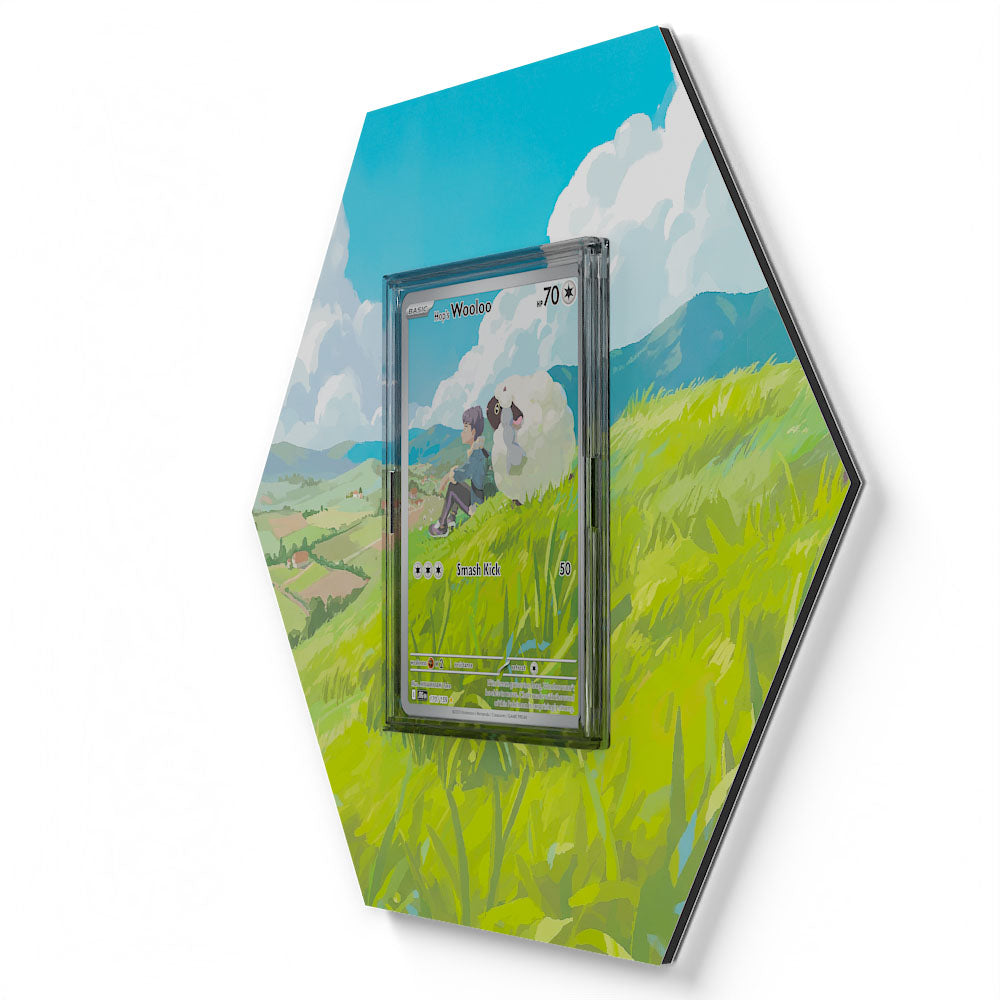 170/159 Hop's Wooloo - Extended Artwork Pokemon Card Display