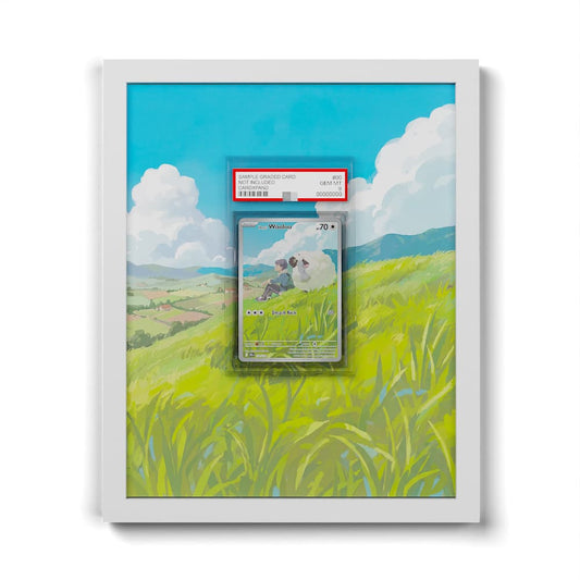170 Hop's Wooloo - Extended Artwork Framed Pokemon Card Display