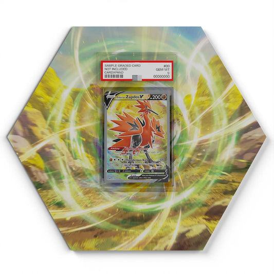 173/198 Galarian Zapdos V - Extended Artwork Pokemon Card Display