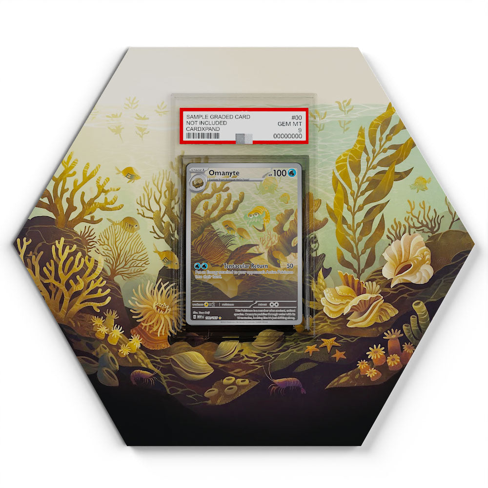 180/165 Omanyte - Extended Artwork Pokemon Card Display
