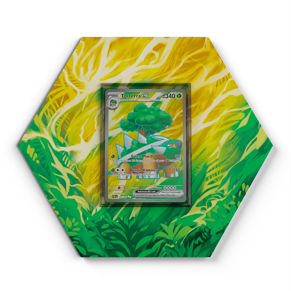 185/162 Torterra EX - Extended Artwork Pokemon Card Display