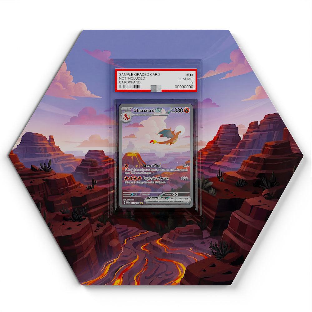 199/165 Charizard EX - Extended Artwork Pokemon Card Display