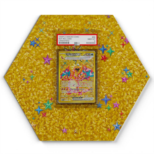 228-197-charizard large graded display