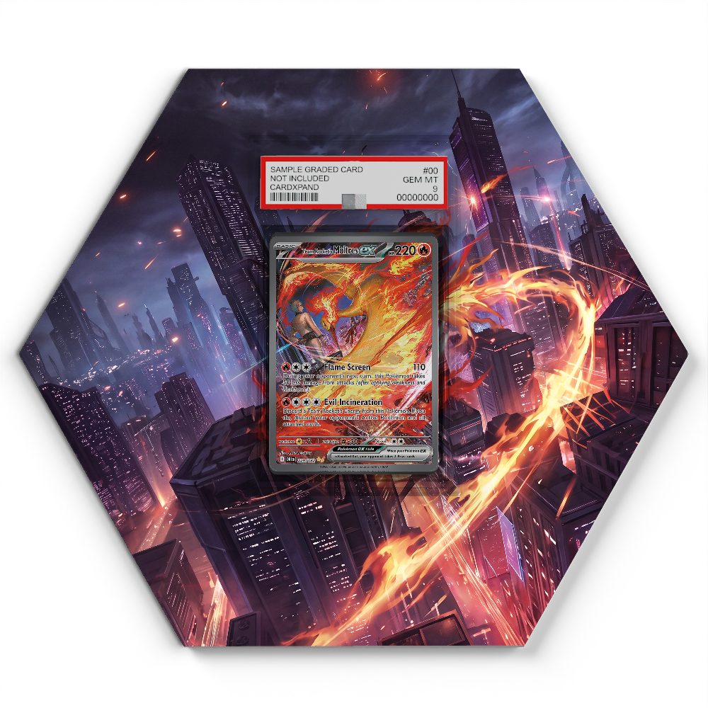 229/182 Team Rocket's Moltres EX - Extended Artwork Pokemon Card Display