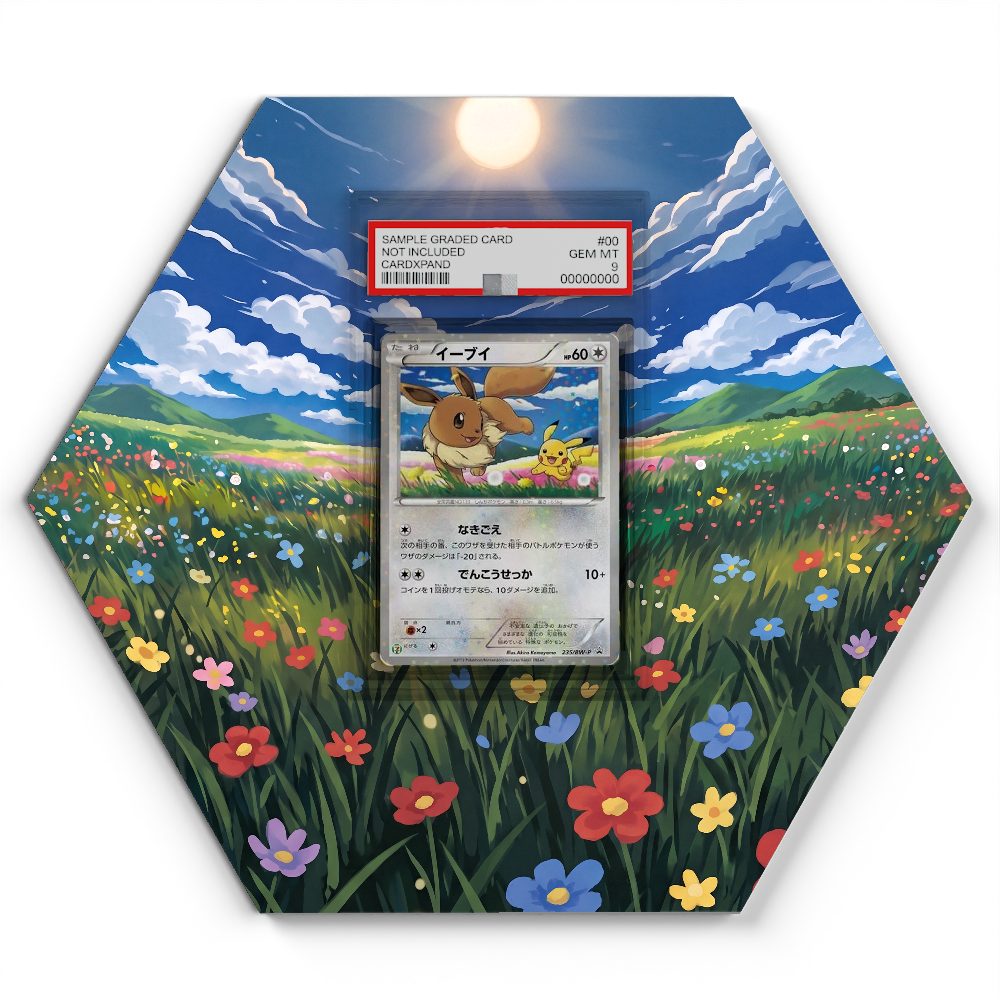 235/BW-P Eevee - Extended Artwork Pokemon Card Display