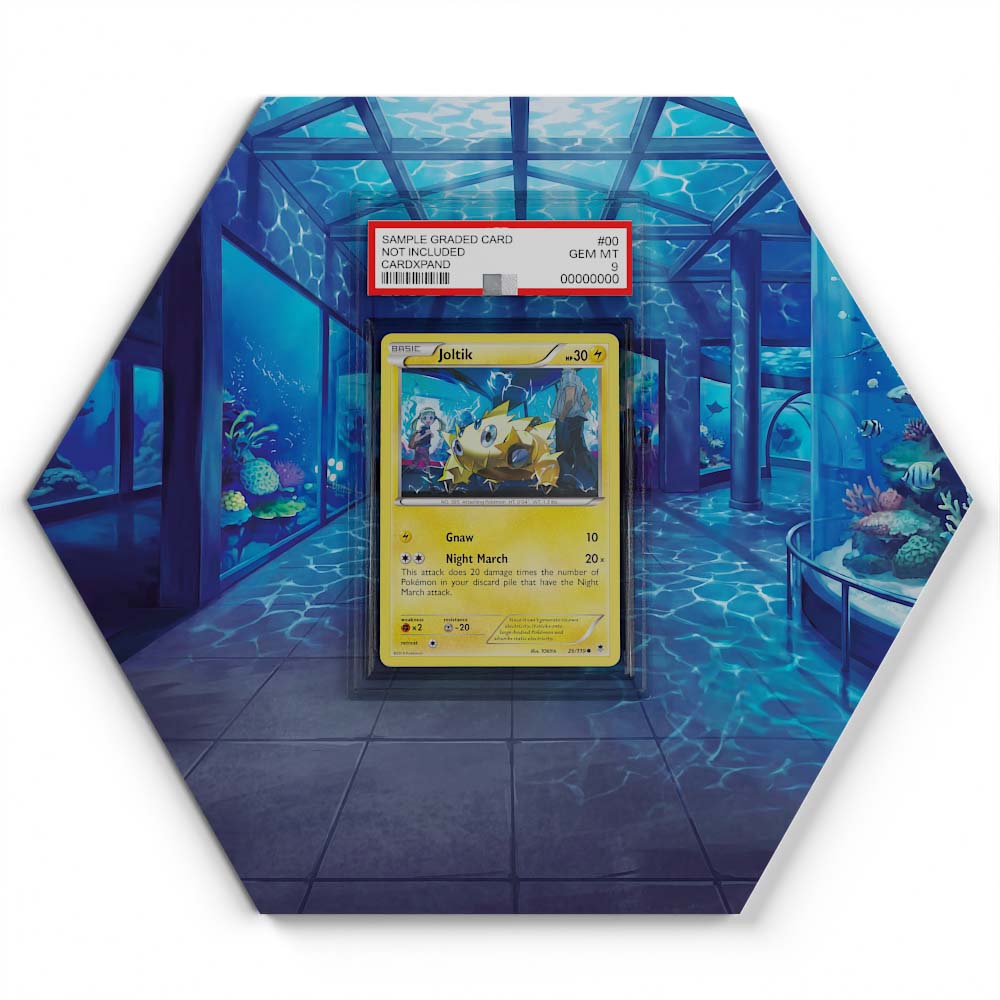 26/119 Joltik - Extended Artwork Pokemon Card Display