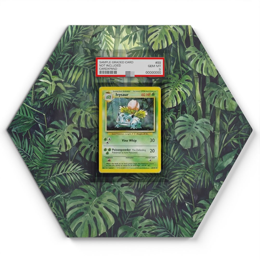 30/102 Ivysaur - Extended Artwork Pokemon Card Display