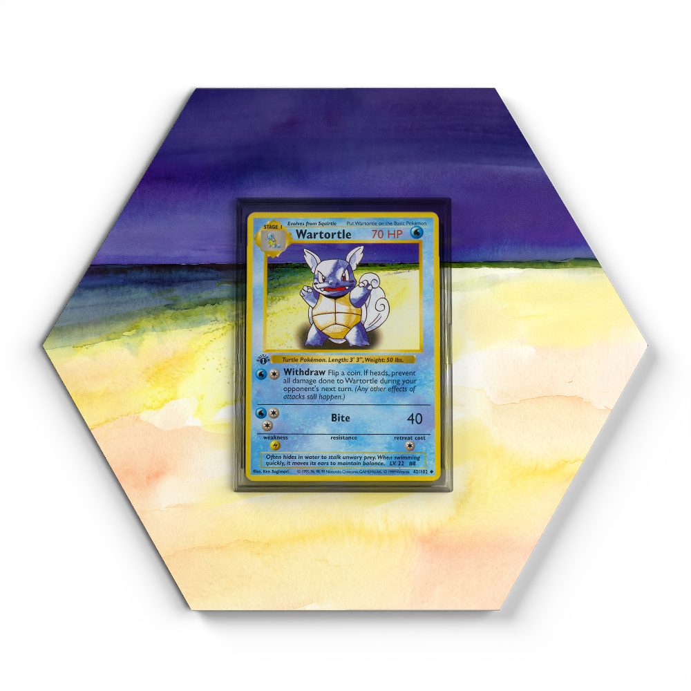42/102 Wartortle - Extended Artwork Pokemon Card Display