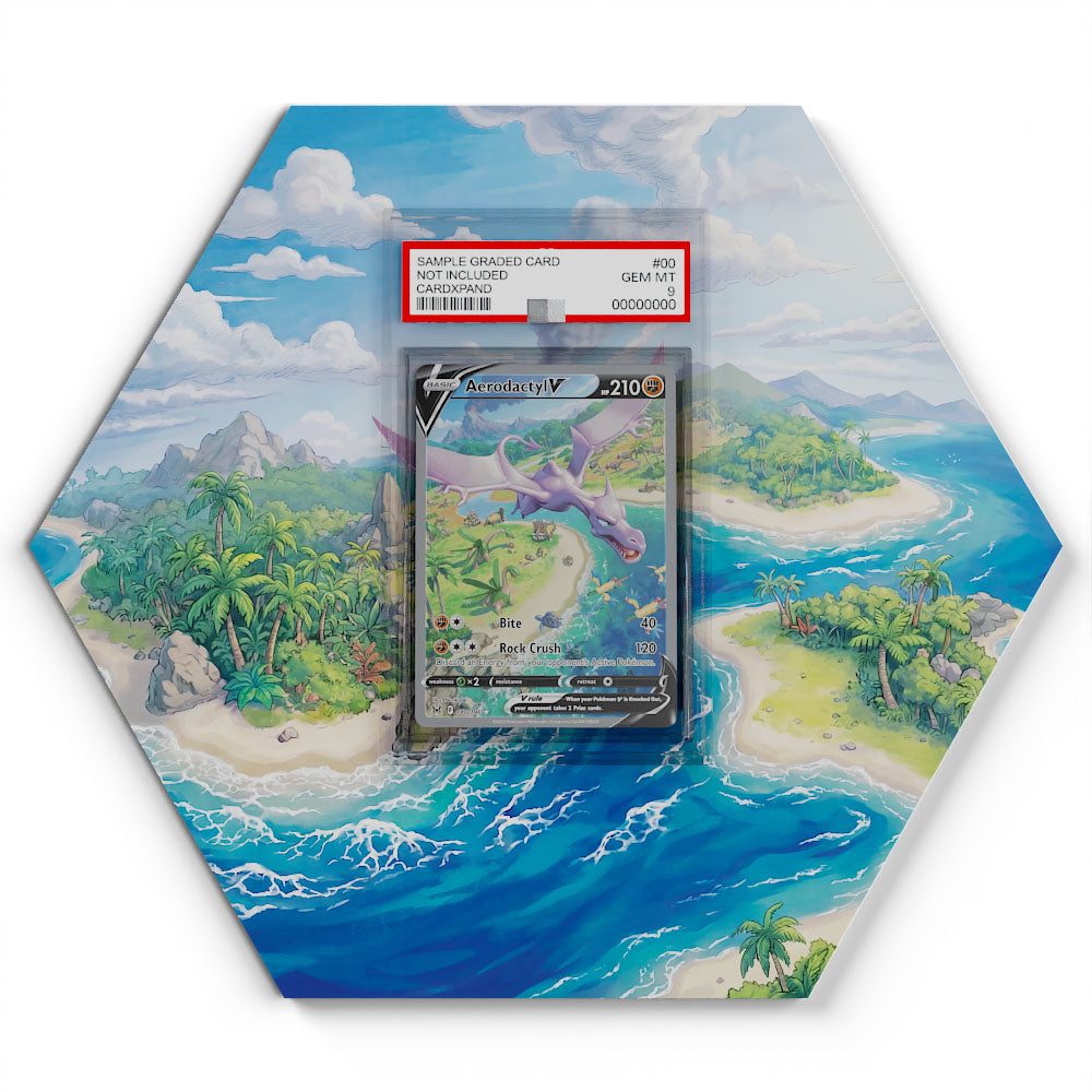 180/196 Aerodactyl V  - Extended Artwork Pokemon Card Display