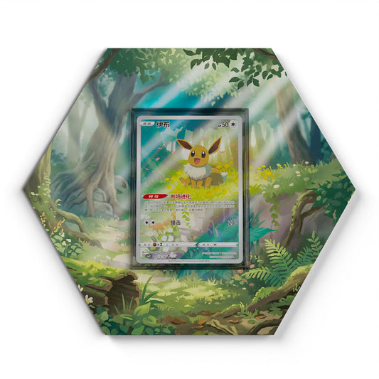 01 Eevee CBB2C - Extended Artwork Pokemon Card Display