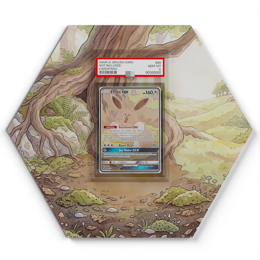 SM233 Eevee GX - Extended Artwork Pokemon Card Display