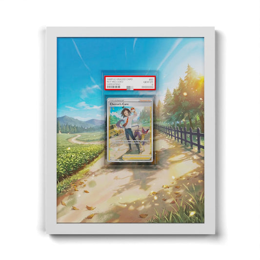 GG58 Cheren's Care - Extended Artwork Framed Pokemon Card Display