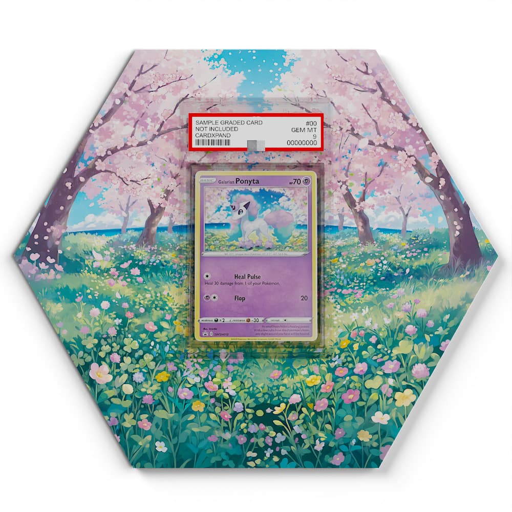 SWSH013 Galarian Ponyta - Extended Artwork Pokemon Card Display