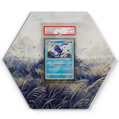 339/S-P Greninja - Extended Artwork Pokemon Card Display