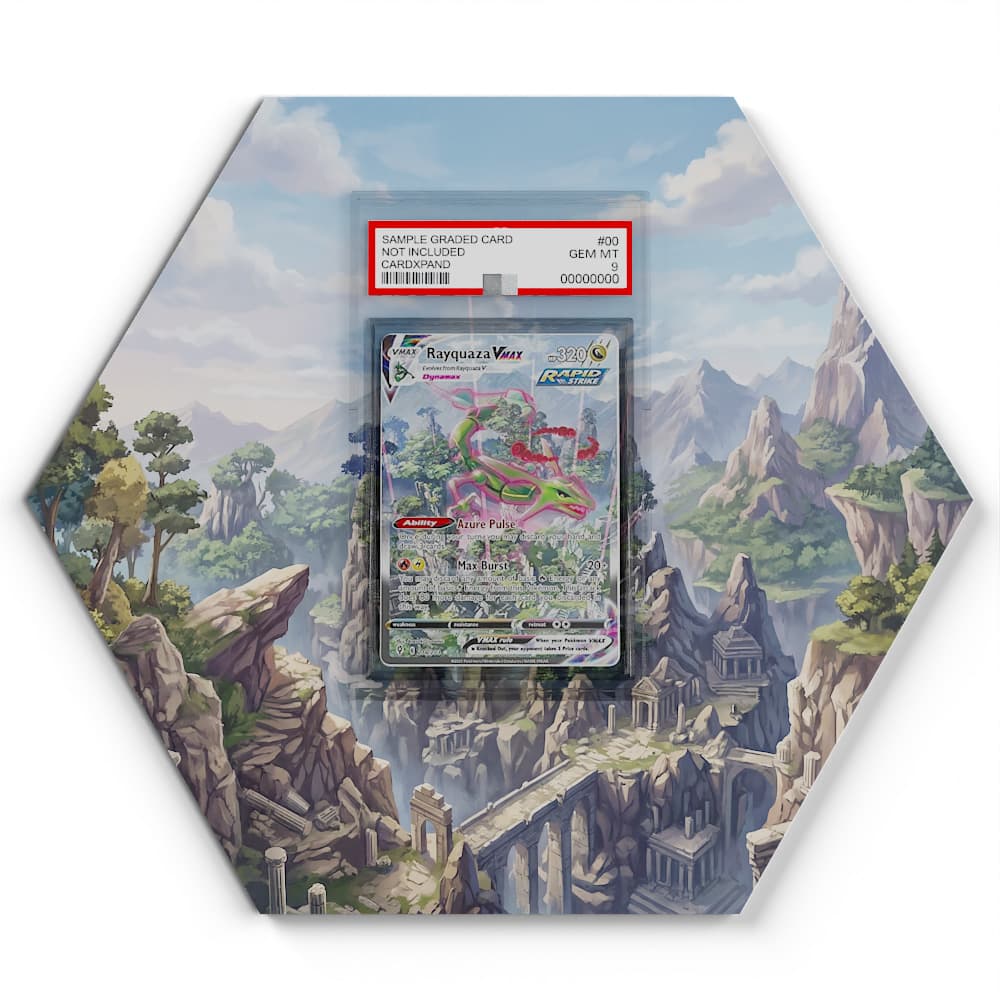 218/203 Rayquaza VMAX - Extended Artwork Pokemon Card Display