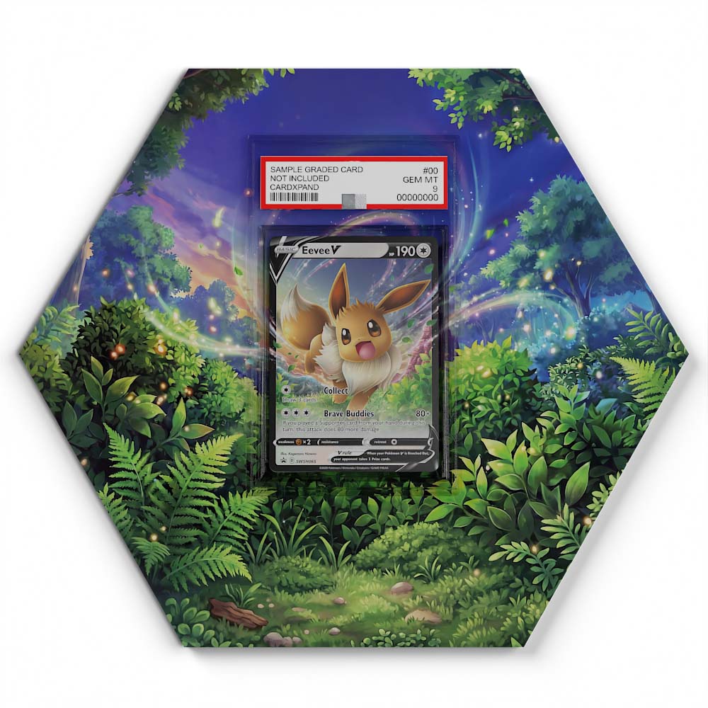 SWSH065 Eevee V - Extended Artwork Pokemon Card Display