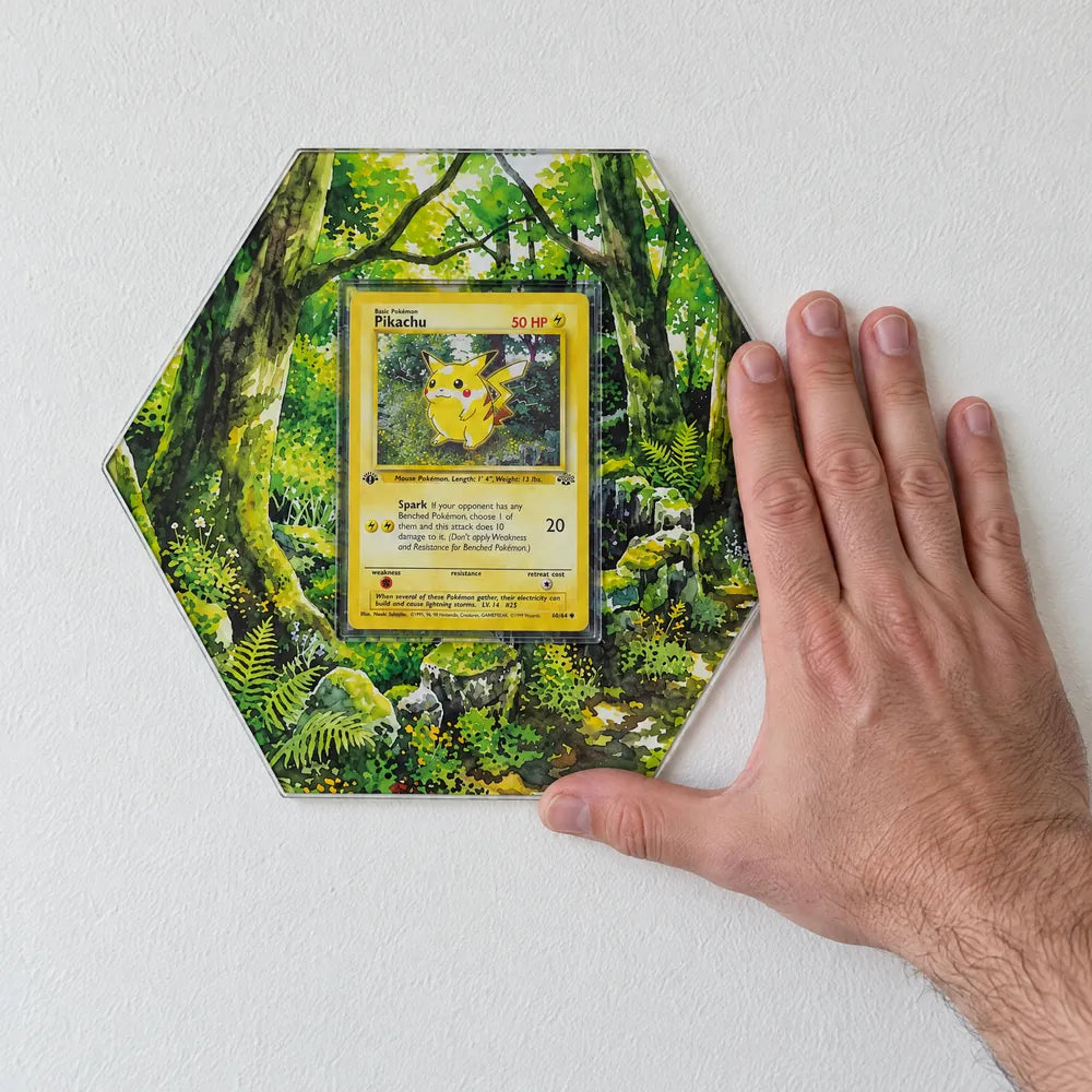 Hang de hexagon op