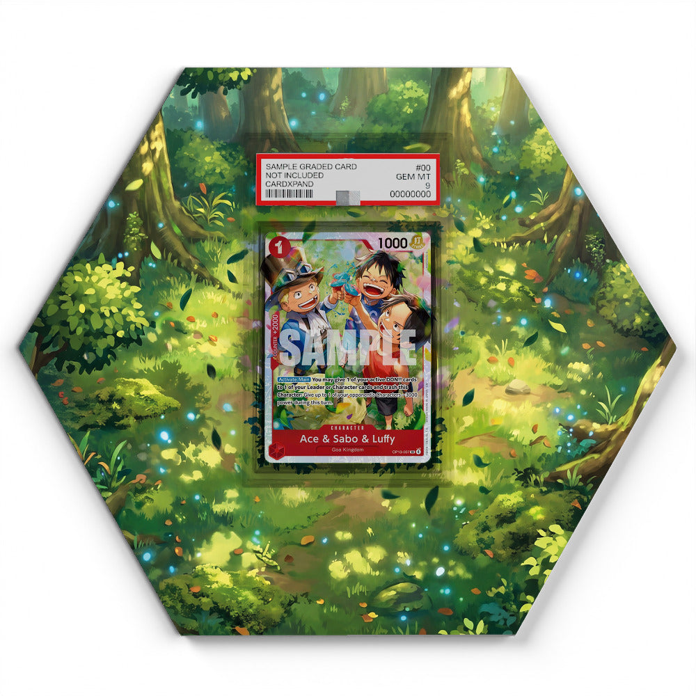 OP13-007 SR Ace & Sabo & Luffy - Extended Artwork One Piece Card Display